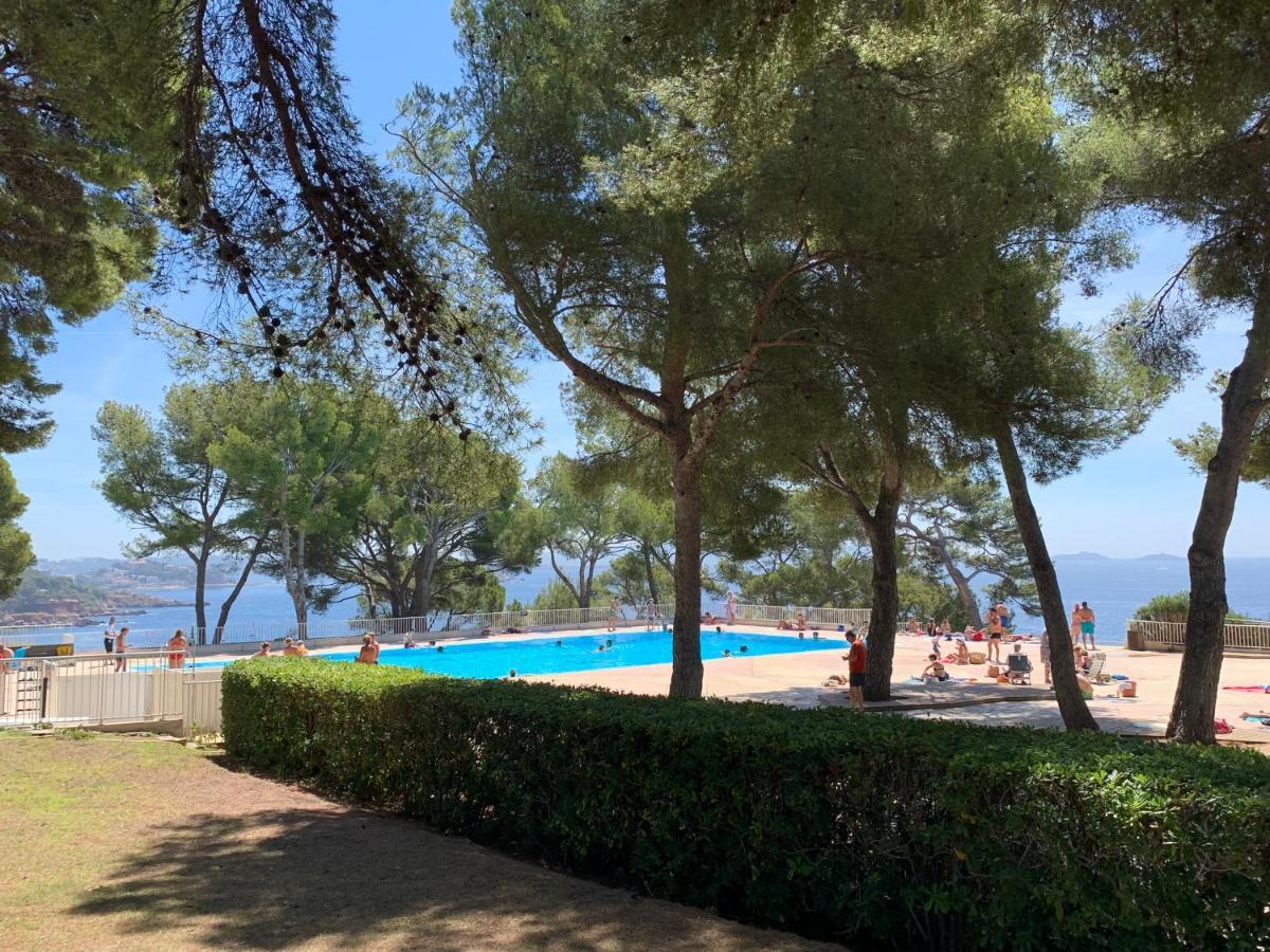 Horizon Bleu Bandol : Appartement Pieds Dans L'Eau Экстерьер фото